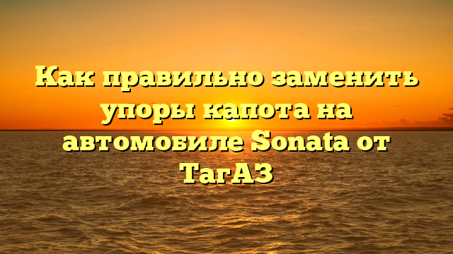 Как правильно заменить упоры капота на автомобиле Sonata от ТагАЗ