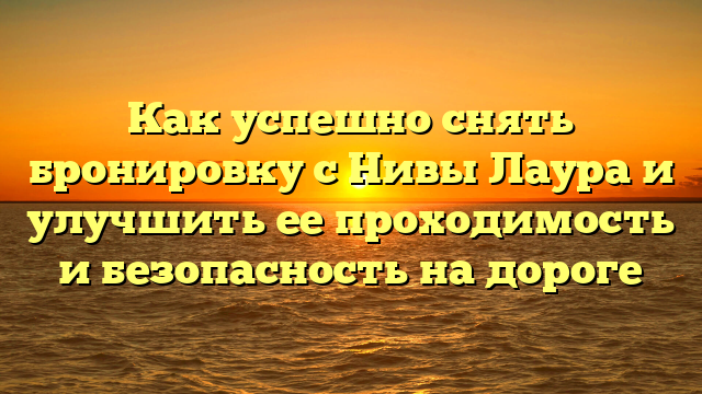 Как успешно снять бронировку с Нивы Лаура и улучшить ее проходимость и безопасность на дороге