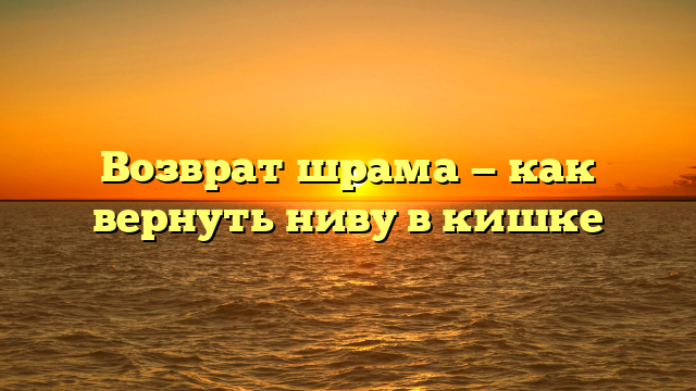 Возврат шрама — как вернуть ниву в кишке