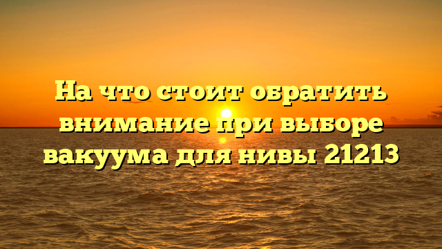 На что стоит обратить внимание при выборе вакуума для нивы 21213
