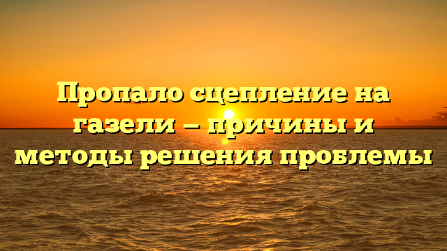 Пропало сцепление на газели — причины и методы решения проблемы